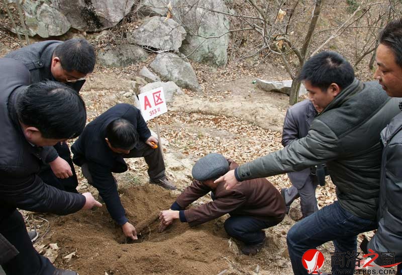 商南縣政府開展送政策、送技術(shù)、送溫暖活動