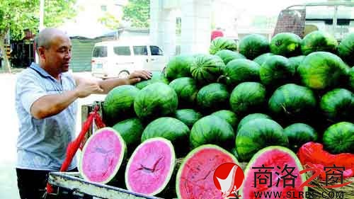 謝小榮把一車的西瓜整理好，準(zhǔn)備開業(yè)。