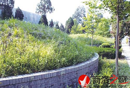 商山四皓墓園一角