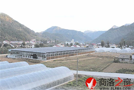 現(xiàn)代農(nóng)業(yè)園區(qū)，農(nóng)民抱團闖市場的基地。