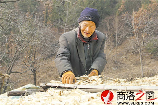 天氣暖和了，何長財一邊曬太陽，一邊收拾挖回來的藥材。