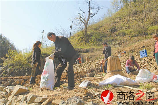 正是種豬苓的時(shí)候,田地里隨處可見(jiàn)種植的農(nóng)戶。