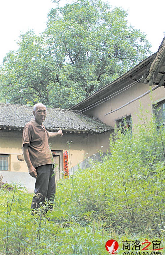 在村里，十有八九的農(nóng)家院落已長滿了蒿草。留守在村里的人路過這些院落，會不由自主地想起院落主人。
