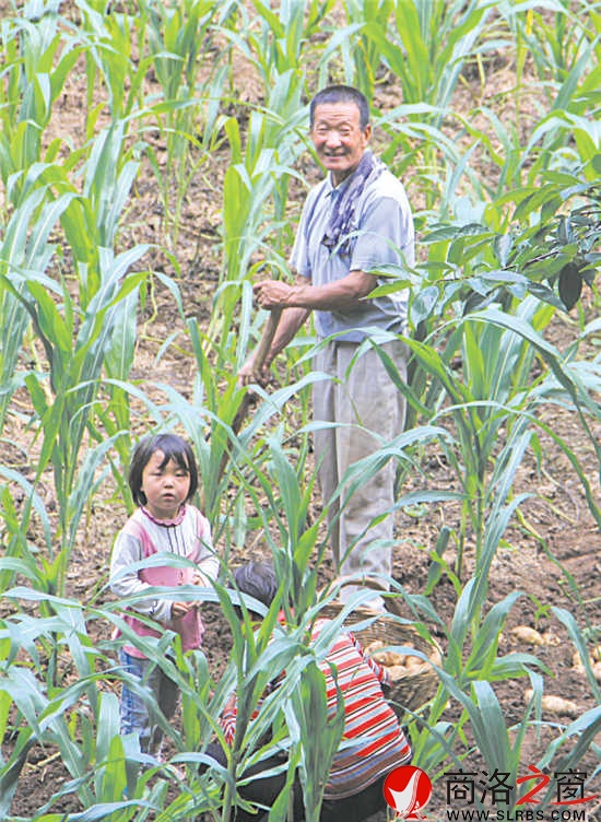 在石灰岔，最珍貴的還是土地。每到收獲季節(jié)，外出務(wù)工的村民總會匆匆趕回來收割莊稼。幾天之后，他們會再次踏上征程。