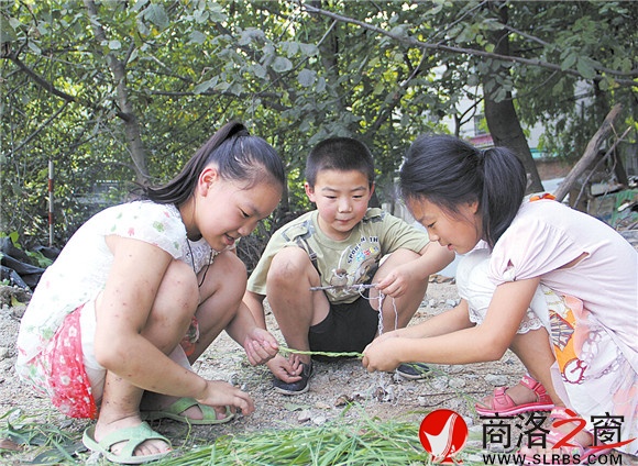 黃沙嶺腳下，胡昊和小伙伴們正在給一只小鳥(niǎo)用草編籠子。