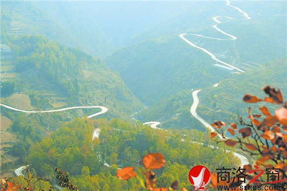 通往姬家河的鄉(xiāng)村公路蜿蜒在綠海中，行走其中，就是一種享受。