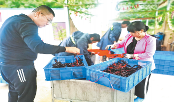 探索混養(yǎng)新模式 鼓起農(nóng)戶錢(qián)袋子