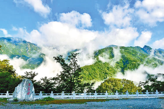 執(zhí)“綠”為筆 描繪生態(tài)柞水新畫(huà)卷